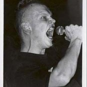 In The Woods... - List pictures