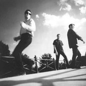 Morphine - List pictures