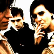 Elastica - List pictures