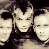 Fine Young Cannibals - List pictures