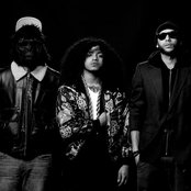 Goldyard - List pictures