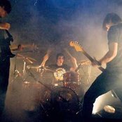 Year Of The Rabbit - List pictures