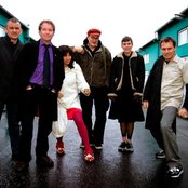 Sugarcubes - List pictures