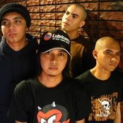 The Ambassadors - List pictures