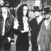 Dead Or Alive - List pictures