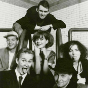 Sugarcubes - List pictures