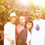 Little Dragon - List pictures