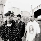 Transplants - List pictures