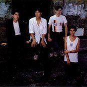 Live Skull - List pictures