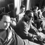 Dave Matthews Band - List pictures