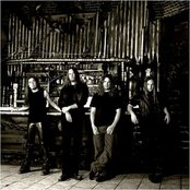 Aardvarks - List pictures