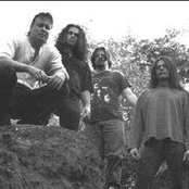 Last Chapter - List pictures