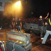 Born To Lose - List pictures