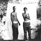 Lamb - List pictures