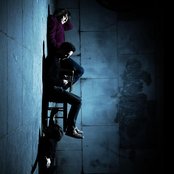 Puggy - List pictures