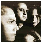 Anacrusis - List pictures