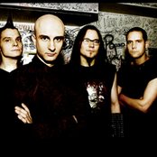 Maj Karma - List pictures