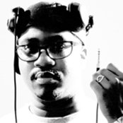 Fat Jon - List pictures