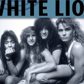 White Lion - List pictures