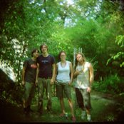 Shearwater - List pictures