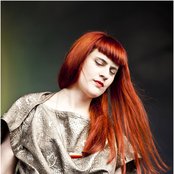 Owlle - List pictures