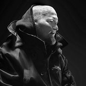 Paleface - List pictures