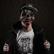 Salmo - List pictures