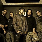 Digital Summer - List pictures