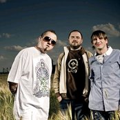 June - List pictures