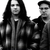 Posies - List pictures