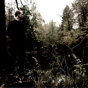 Veldes - List pictures