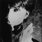 David Sylvian - List pictures