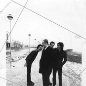 Ruts - List pictures