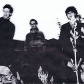 Stephen - List pictures