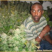 Aceyalone - List pictures