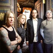 Gov't Mule - List pictures