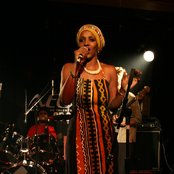 Mo'kalamity - List pictures