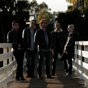 Elan - List pictures