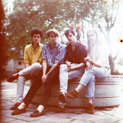 The Vaccines - List pictures