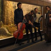 Dark Dark Dark - List pictures