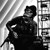 Vetiver - List pictures