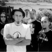 Bad Acid Trip - List pictures