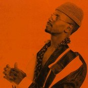 Larry Heard - List pictures