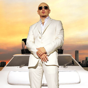 Pitbull - List pictures