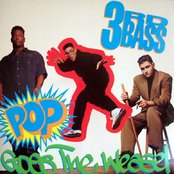 3rd Bass - List pictures