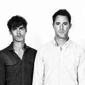 Wild Cub - List pictures