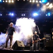 Buitres - List pictures