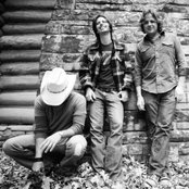 Pinmonkey - List pictures