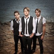 Between The Trees - List pictures