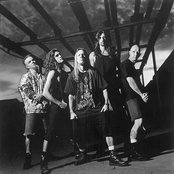 Fight - List pictures